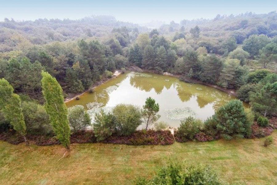 Leggett House for sale in ST FELIX DE REILLAC ET MORTEMA Dordogne