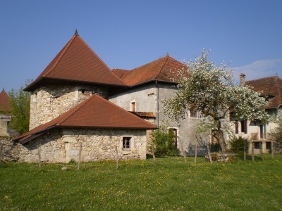 chateau a vendre yenne
